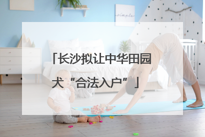 长沙拟让中华田园犬“合法入户”