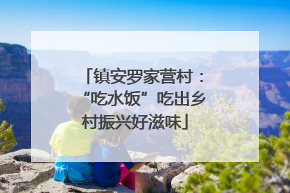 镇安罗家营村：“吃水饭”吃出乡村振兴好滋味