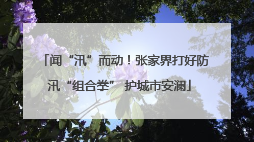 闻“汛”而动！张家界打好防汛“组合拳” 护城市安澜