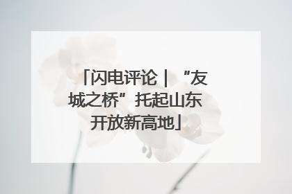 闪电评论｜“友城之桥”托起山东开放新高地