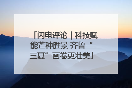 闪电评论｜科技赋能芒种胜景 齐鲁“三夏”画卷更壮美