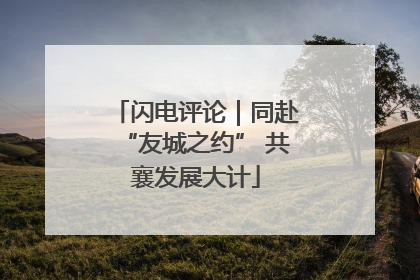 闪电评论｜同赴“友城之约” 共襄发展大计