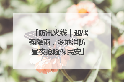 防汛火线｜迎战强降雨，多地消防昼夜抢险保民安