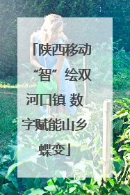 陕西移动“智”绘双河口镇 数字赋能山乡蝶变