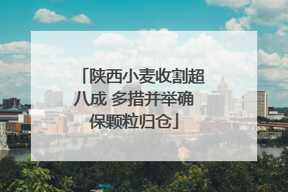 陕西小麦收割超八成 多措并举确保颗粒归仓