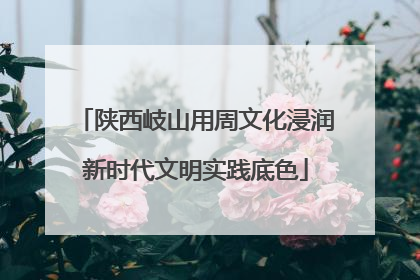 陕西岐山用周文化浸润新时代文明实践底色