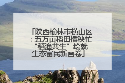 陕西榆林市横山区：五万亩稻田插秧忙 “稻渔共生”绘就生态富民新画卷