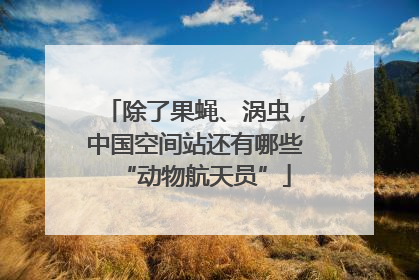 除了果蝇、涡虫，中国空间站还有哪些“动物航天员”