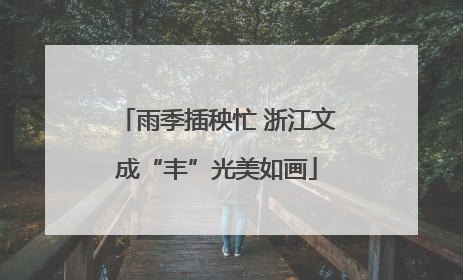 雨季插秧忙 浙江文成“丰”光美如画