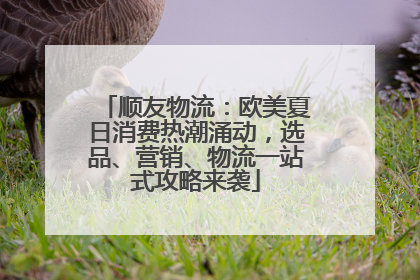 顺友物流：欧美夏日消费热潮涌动，选品、营销、物流一站式攻略来袭