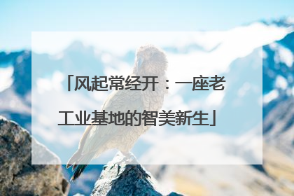 风起常经开：一座老工业基地的智美新生
