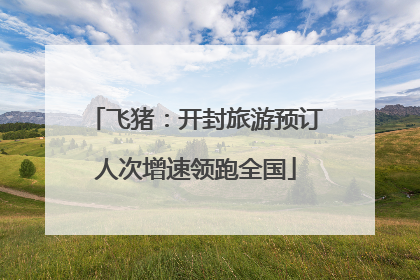飞猪：开封旅游预订人次增速领跑全国