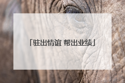 驻出情谊 帮出业绩