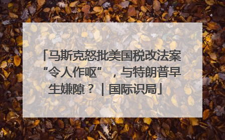 马斯克怒批美国税改法案“令人作呕”，与特朗普早生嫌隙？｜国际识局