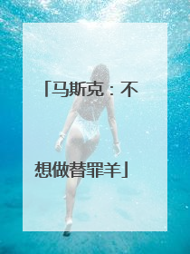 马斯克：不想做替罪羊