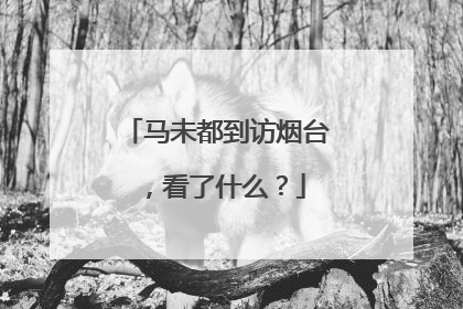 马未都到访烟台，看了什么？