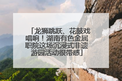 龙狮跳跃、花鼓戏唱响！湖南有色金属职院这场沉浸式非遗游园活动很带感