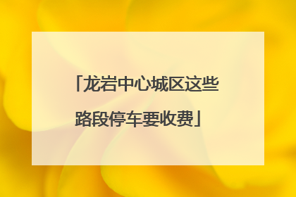 龙岩中心城区这些路段停车要收费