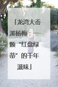 龙湾大岙溪杨梅：一颗“红盘绿蒂”的千年滋味