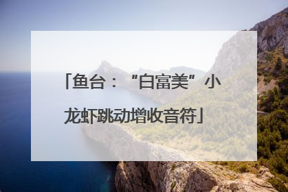 鱼台：“白富美”小龙虾跳动增收音符