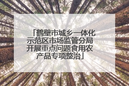 鹤壁市城乡一体化示范区市场监管分局开展重点问题食用农产品专项整治