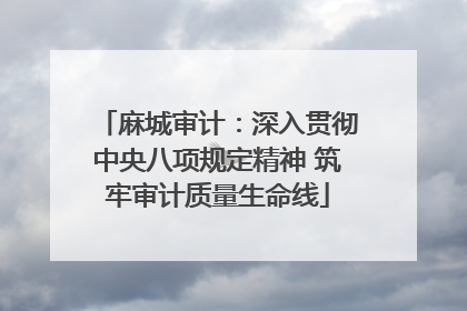 麻城审计：深入贯彻中央八项规定精神 筑牢审计质量生命线