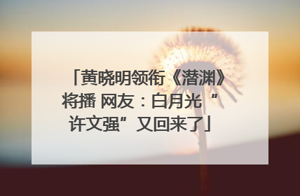 黄晓明领衔《潜渊》将播 网友：白月光“许文强”又回来了