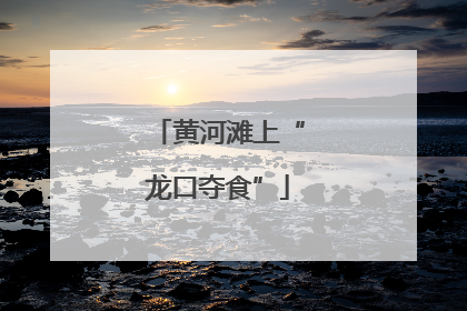 黄河滩上“龙口夺食”