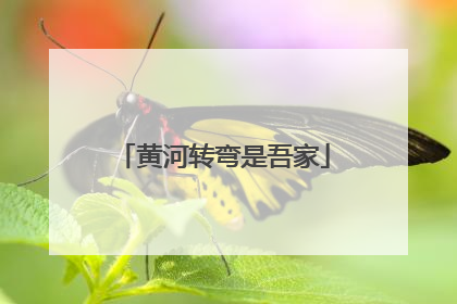黄河转弯是吾家