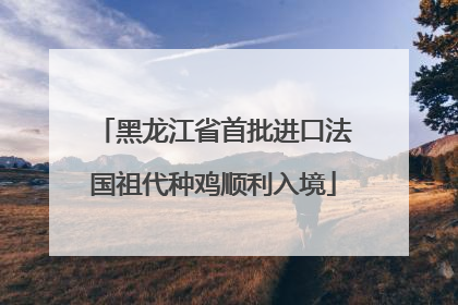 黑龙江省首批进口法国祖代种鸡顺利入境
