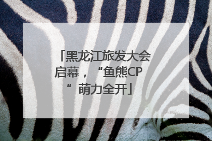 黑龙江旅发大会启幕，“鱼熊CP”萌力全开