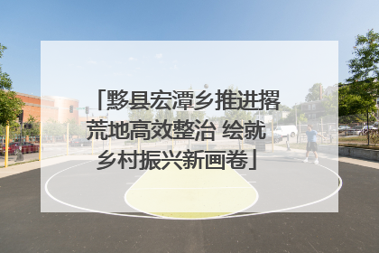 黟县宏潭乡推进撂荒地高效整治 绘就乡村振兴新画卷