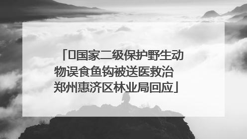 ﻿国家二级保护野生动物误食鱼钩被送医救治 郑州惠济区林业局回应