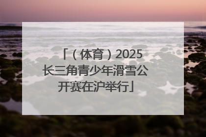 （体育）2025长三角青少年滑雪公开赛在沪举行