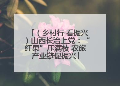（乡村行·看振兴）山西长治上党：“红果”压满枝 农旅产业链促振兴