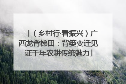 （乡村行·看振兴）广西龙脊梯田：背篓变迁见证千年农耕传统魅力