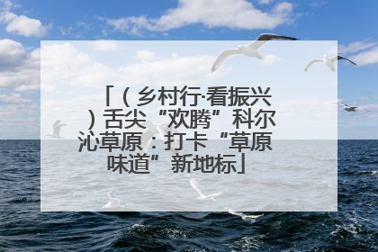 （乡村行·看振兴）舌尖“欢腾”科尔沁草原：打卡“草原味道”新地标