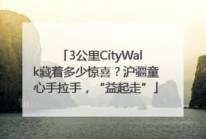 3公里CityWalk藏着多少惊喜？沪疆童心手拉手，“益起走”