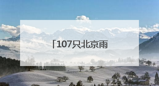 107只北京雨燕在颐和园完成年度“体检”