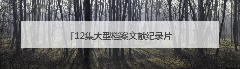 12集大型档案文献纪录片《“档”不住的记忆——聊城档案故事》将于近期播出