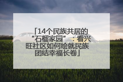 14个民族共居的“石榴家园”：看兴旺社区如何绘就民族团结幸福长卷