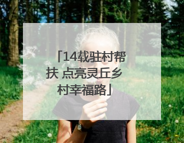 14载驻村帮扶 点亮灵丘乡村幸福路