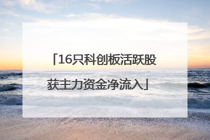 16只科创板活跃股获主力资金净流入