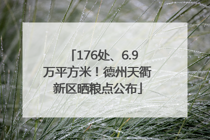 176处、6.9万平方米！德州天衢新区晒粮点公布