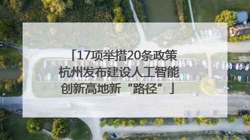 17项举措20条政策 杭州发布建设人工智能创新高地新“路径”