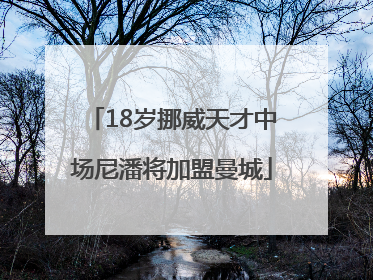 18岁挪威天才中场尼潘将加盟曼城
