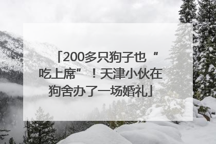200多只狗子也“吃上席”！天津小伙在狗舍办了一场婚礼
