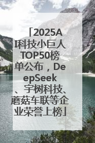 2025AI科技小巨人TOP50榜单公布，DeepSeek、宇树科技、蘑菇车联等企业荣誉上榜