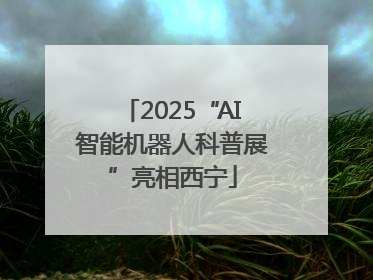 2025“AI智能机器人科普展”亮相西宁