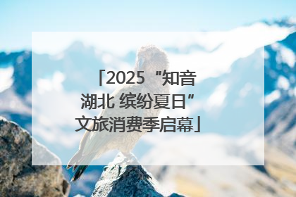 2025“知音湖北 缤纷夏日”文旅消费季启幕